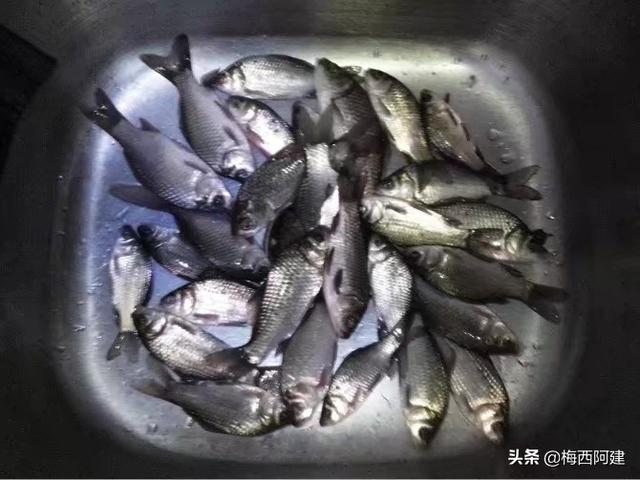 室外球场打球遇到天气突变？应急措施​